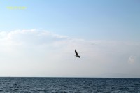 /album/gennaro-video/img-0123-jpg/
