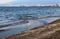 /album/gennaro-video/img-0125-jpg/